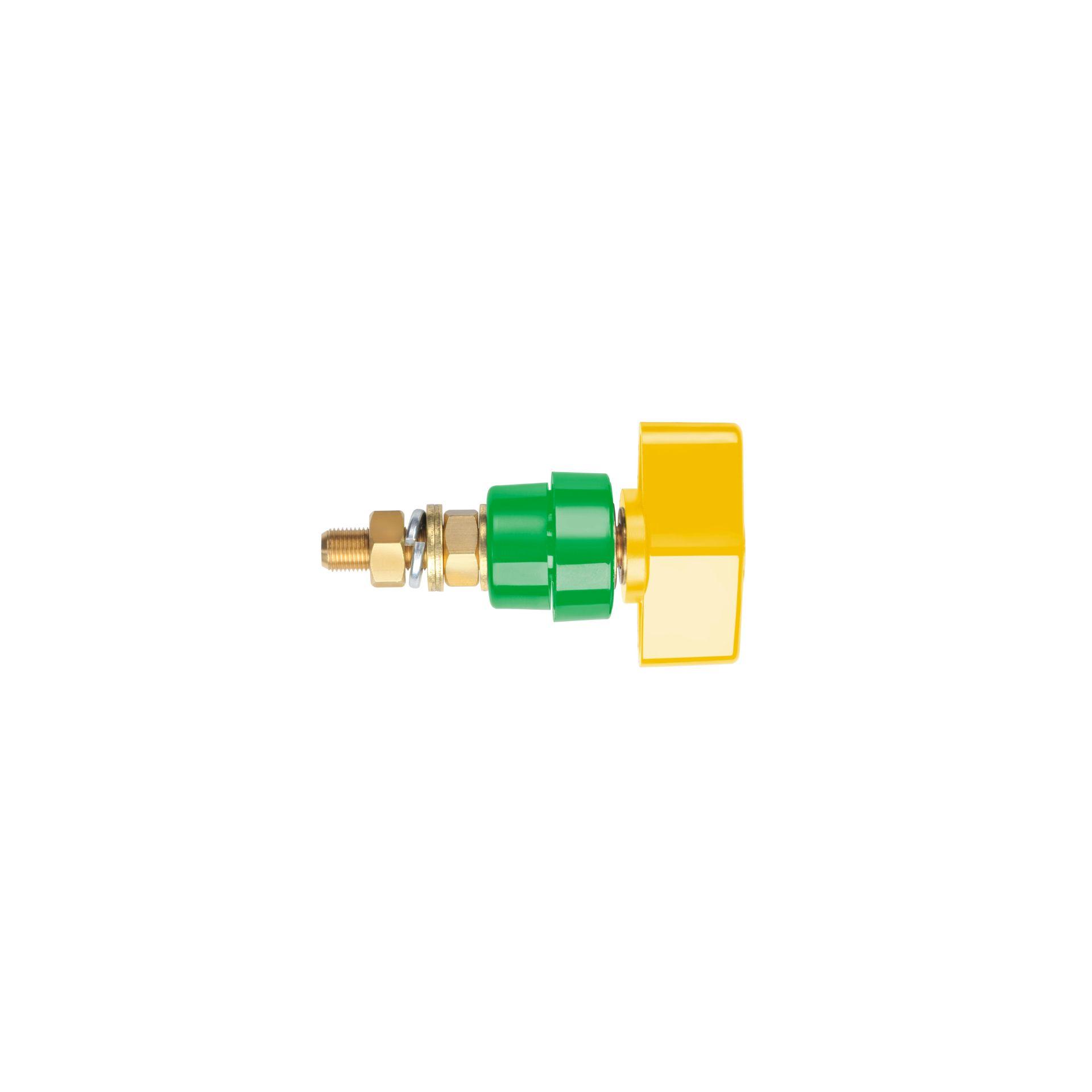 Terminale a poli con testa a levetta svitabile, 100A, M8, verde-giallo Terminale a poli con testa a levetta svitabile, 100A, M8, verde-giallo