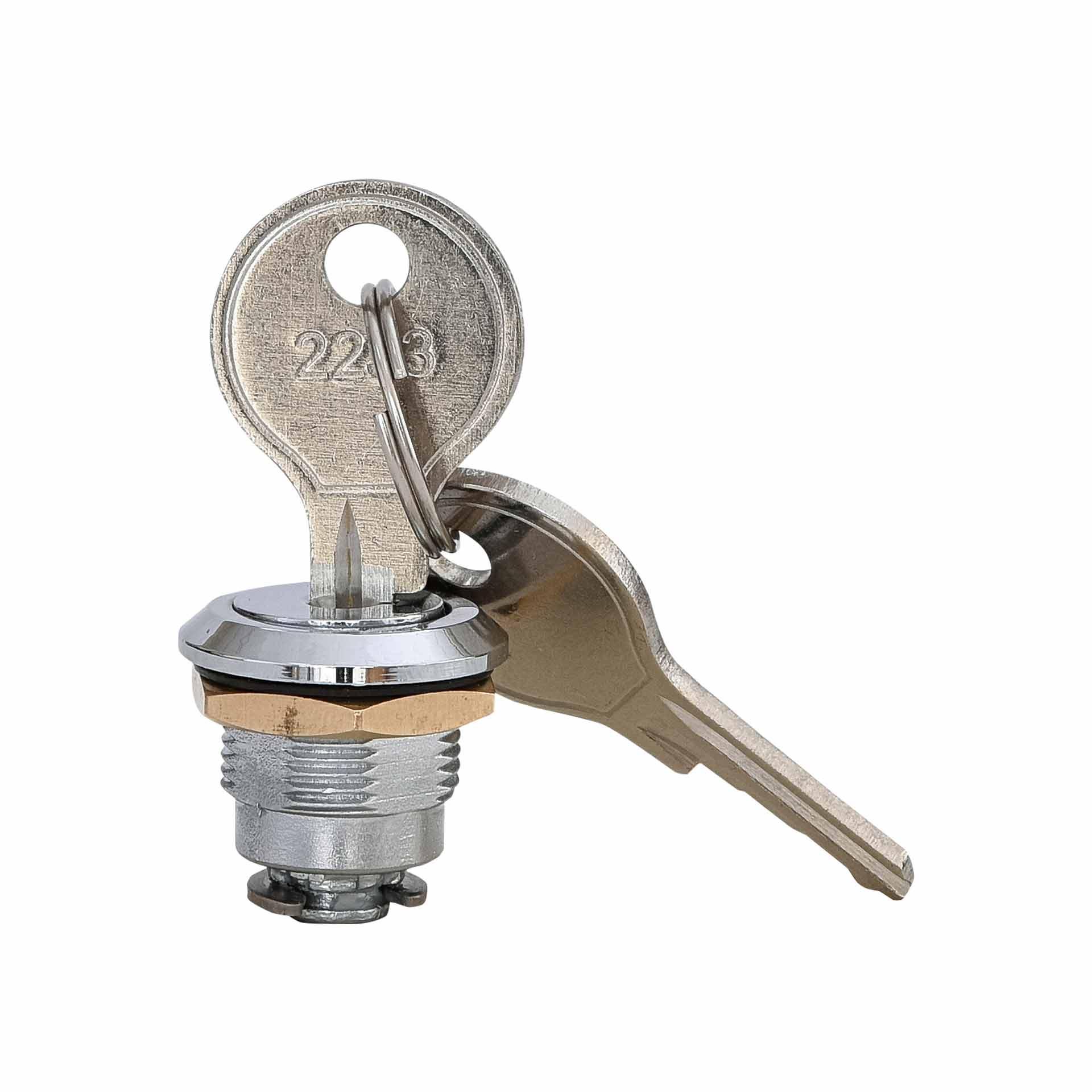 Lock with 2 keys for the ECT & ECM enclosures
