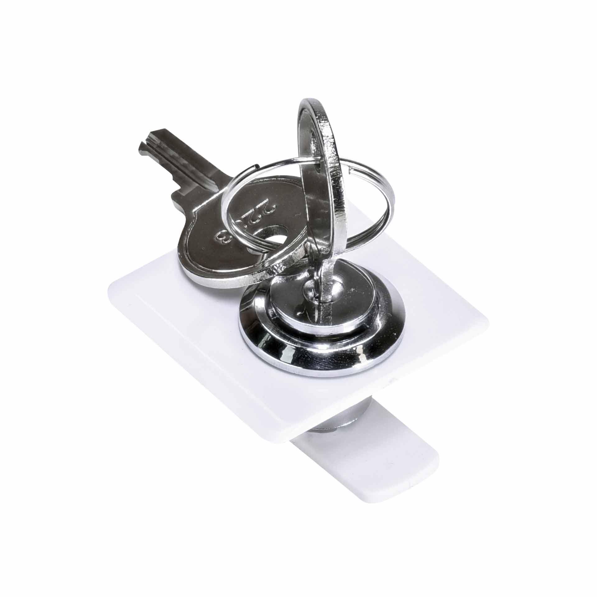 Lock with 2 keys for the ECG housing