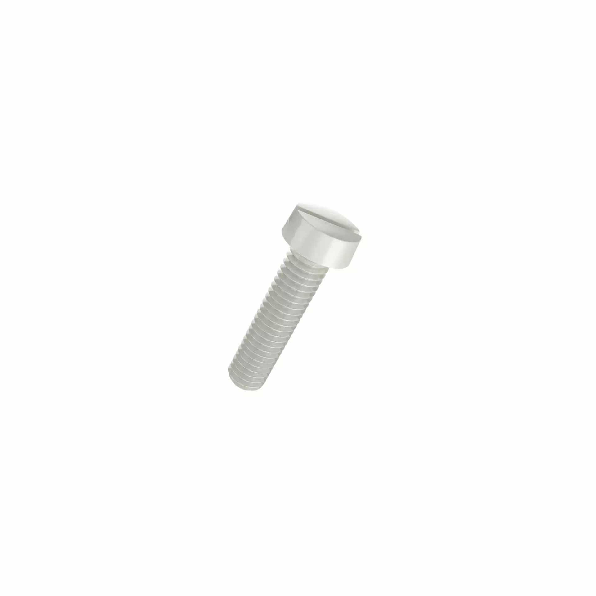 Vite a testa cilindrica in plastica con intaglio M4x16 mm, poliammide, colore naturale Vite a testa cilindrica in plastica con intaglio M4x16 mm, poliammide, colore naturale