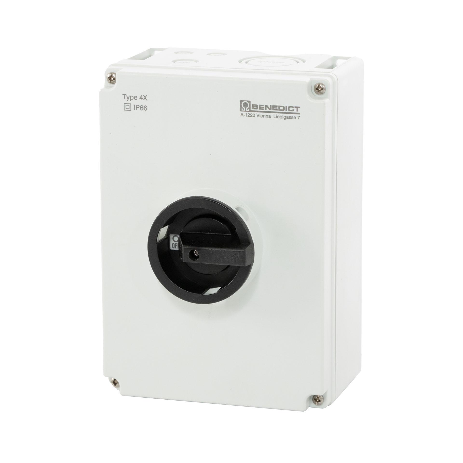 Interruttore generale esterno tripolare 63A, custodia grande, 22 kW Interruttore generale esterno tripolare 63A, custodia grande, 22 kW