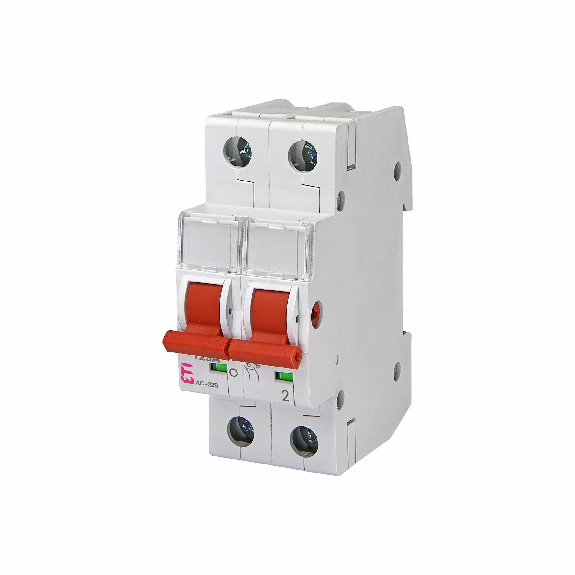 REG interruttore di manovra-sezionatore a 2 poli, 125A, tipo SV 2125 REG interruttore di manovra-sezionatore a 2 poli, 125A, tipo SV 2125