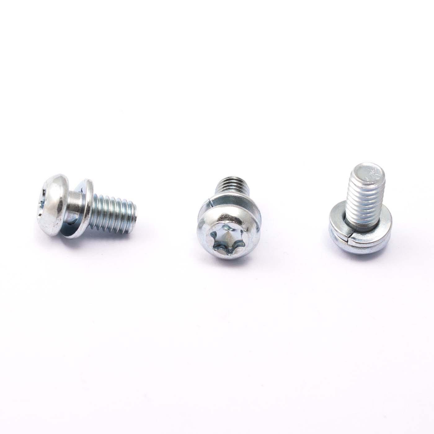 Torx a testa tonda con rondella di sicurezza M6x10mm